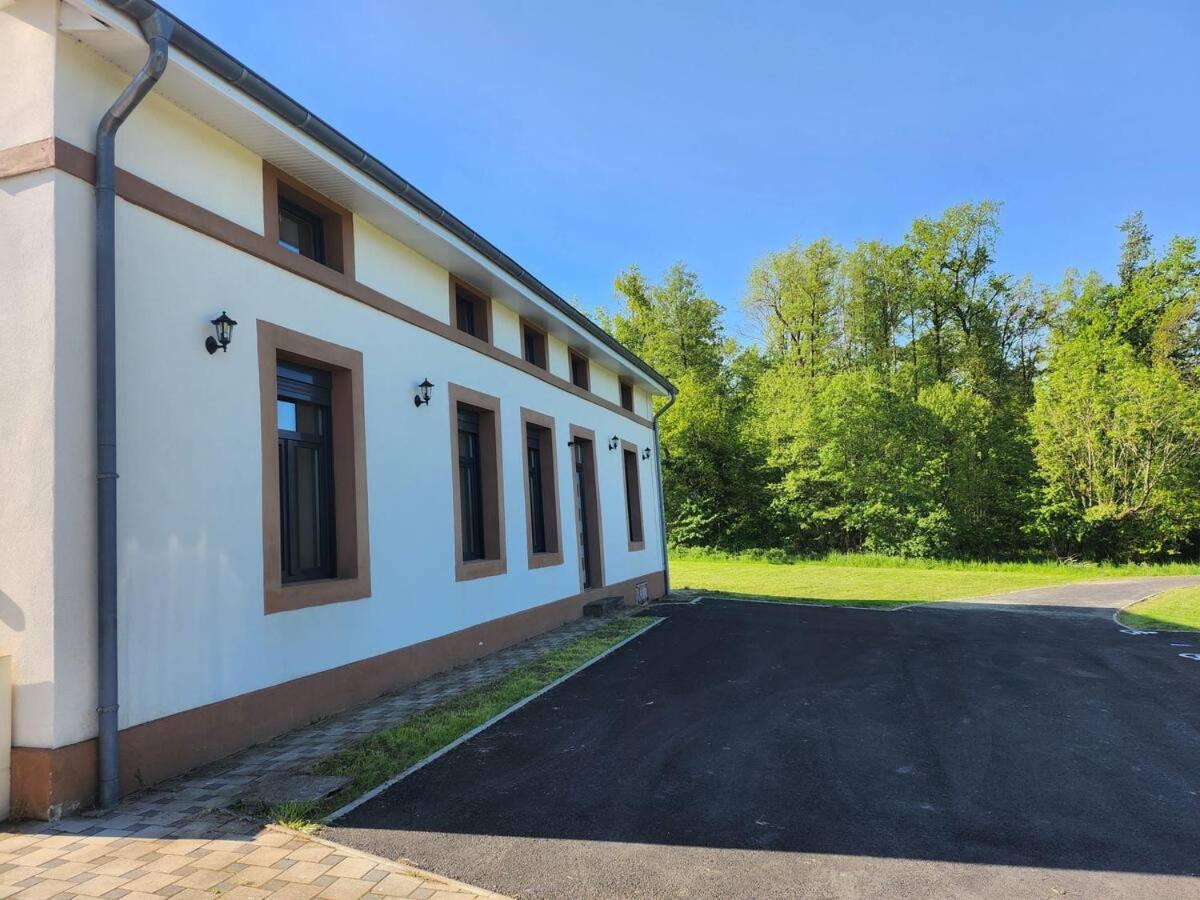 Loft Spacieux En Pleine Foret Bining Kültér fotó